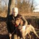 <h1 style="font-size: 12px">Cani da Caccia: Kurzhaar di 10 mesi mentre osserva altri cani da caccia a lavoro su pernici.</h1>
